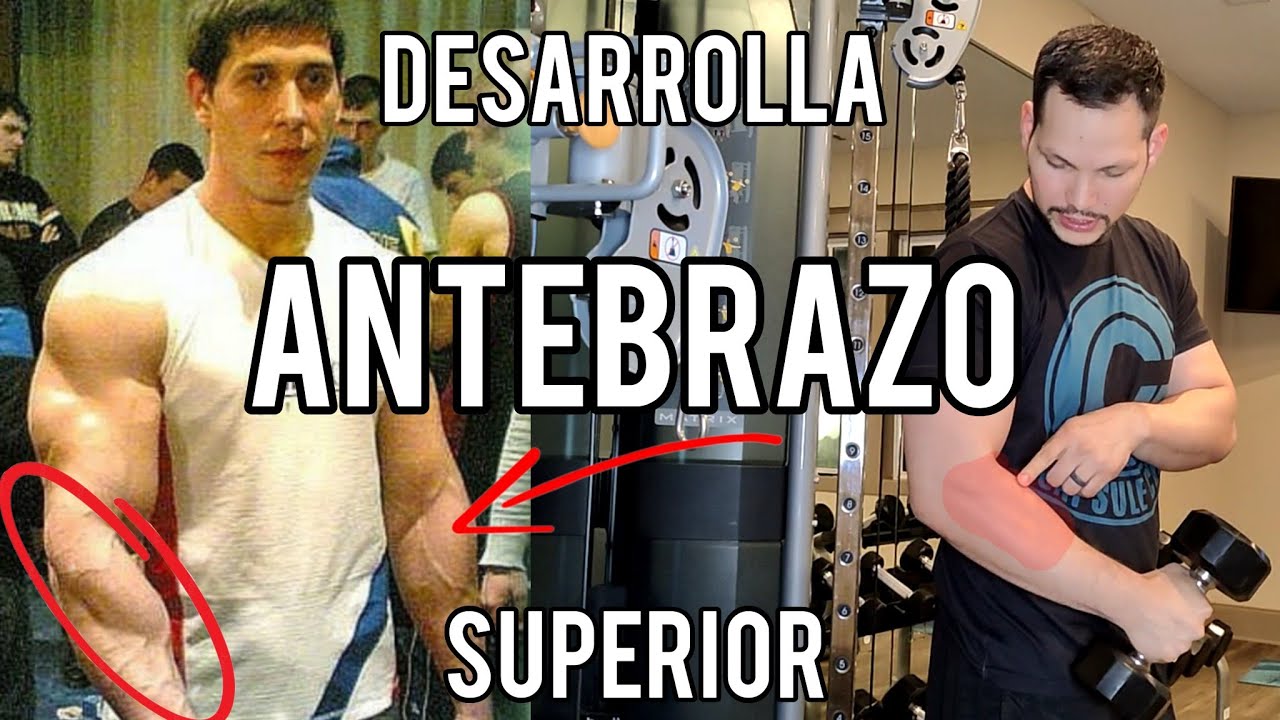 Duplica el tamaño de tu antebrazo | Antebrazo superior | Lucha de Brazos | Armwrestling