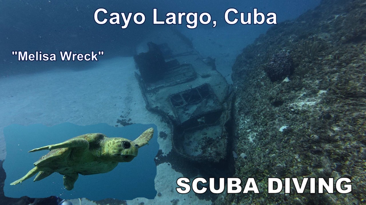Diving with Sharks in Cayo Largo (Melisa Wreck site), Cuba June 2025