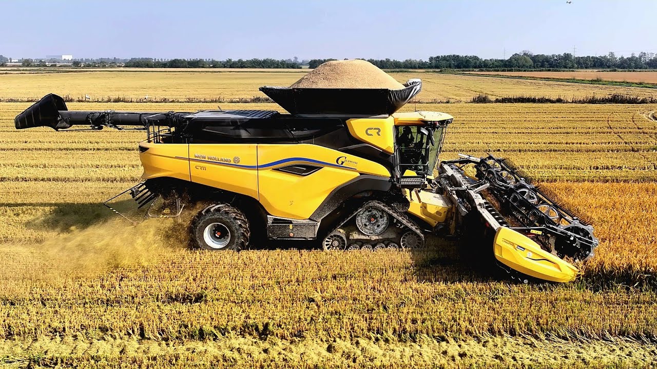 New Holland CR11 - MacDon FD230 | Fendt | Vaia | GIUPPONI F.LLI SRL