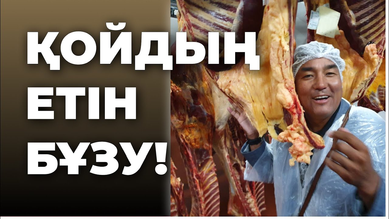 Блатной шопан гемпширдің тас-талқанын шығарды...