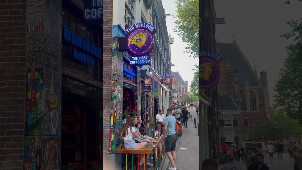 Famous Bulldog Weed Coffee Shop in Amsterdam #amsterdam #weed #travel #marijuana #shorts