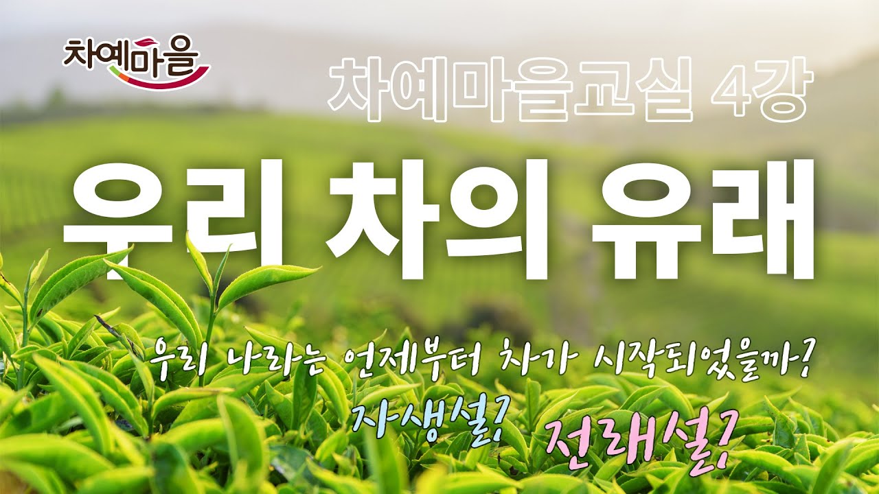 우리나라 차(茶)의 유래는? 흥미진진한 3가지 가설 소개!｜차예마을교실 제 4강 (한글자막 포함)