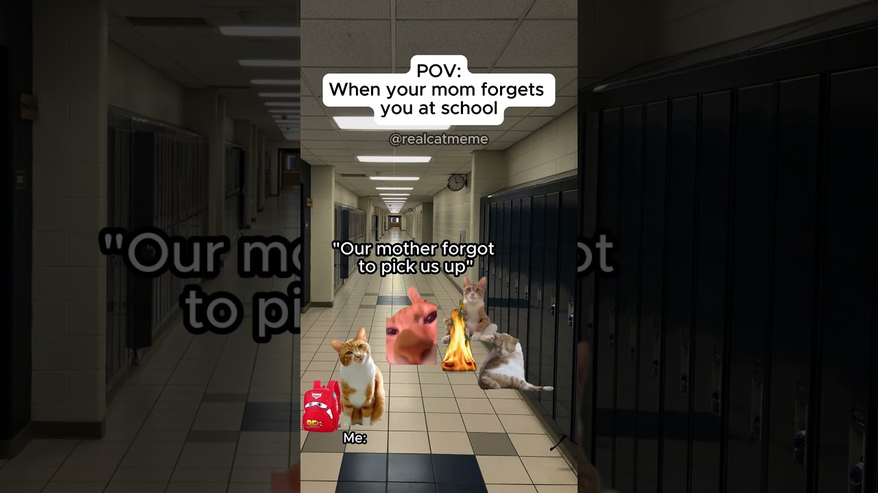 CAT MEMES 🐱When your mom forgets you at school 😭 #shorts #catmemes #relatable