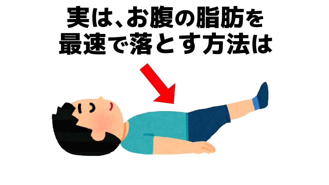 【雑学】誰かに話したくなる健康と筋トレの役立つ雑学