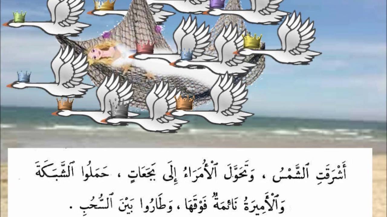البجعات المتوحشة