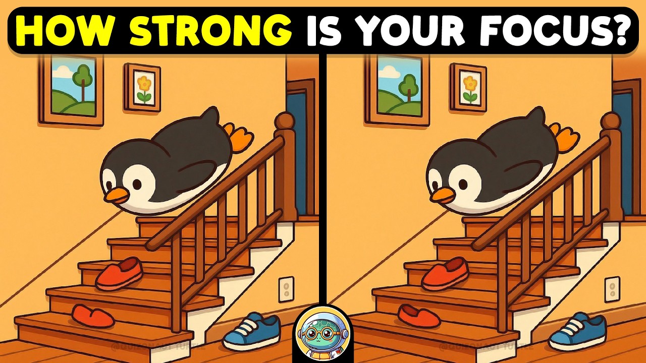 🐢🧩 Spot The Difference | Expert Challenge Edition 🧩🐢 | Quizonaut Turtle