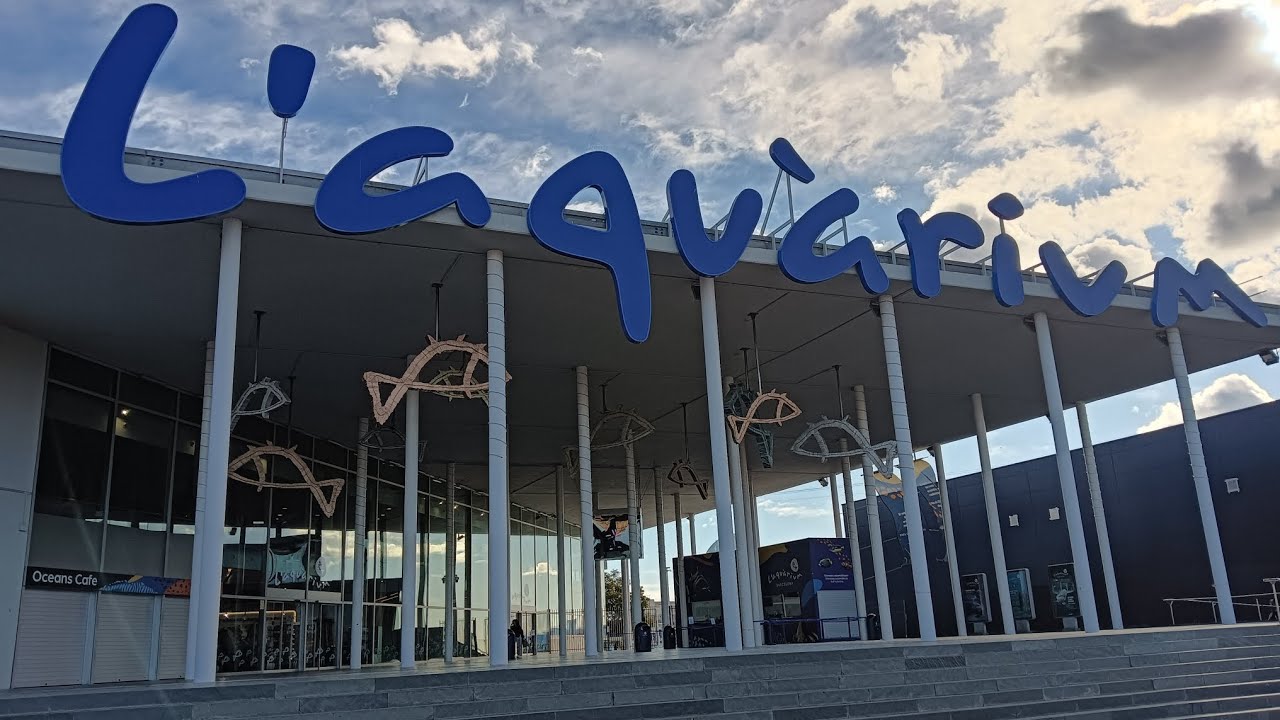 L aquarium Spain|| aquarium 