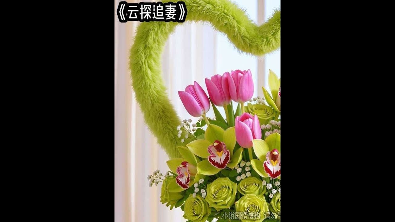 云探追妻 #文荒推荐 #炒鸡好看小说 #适合女生看的小说推荐