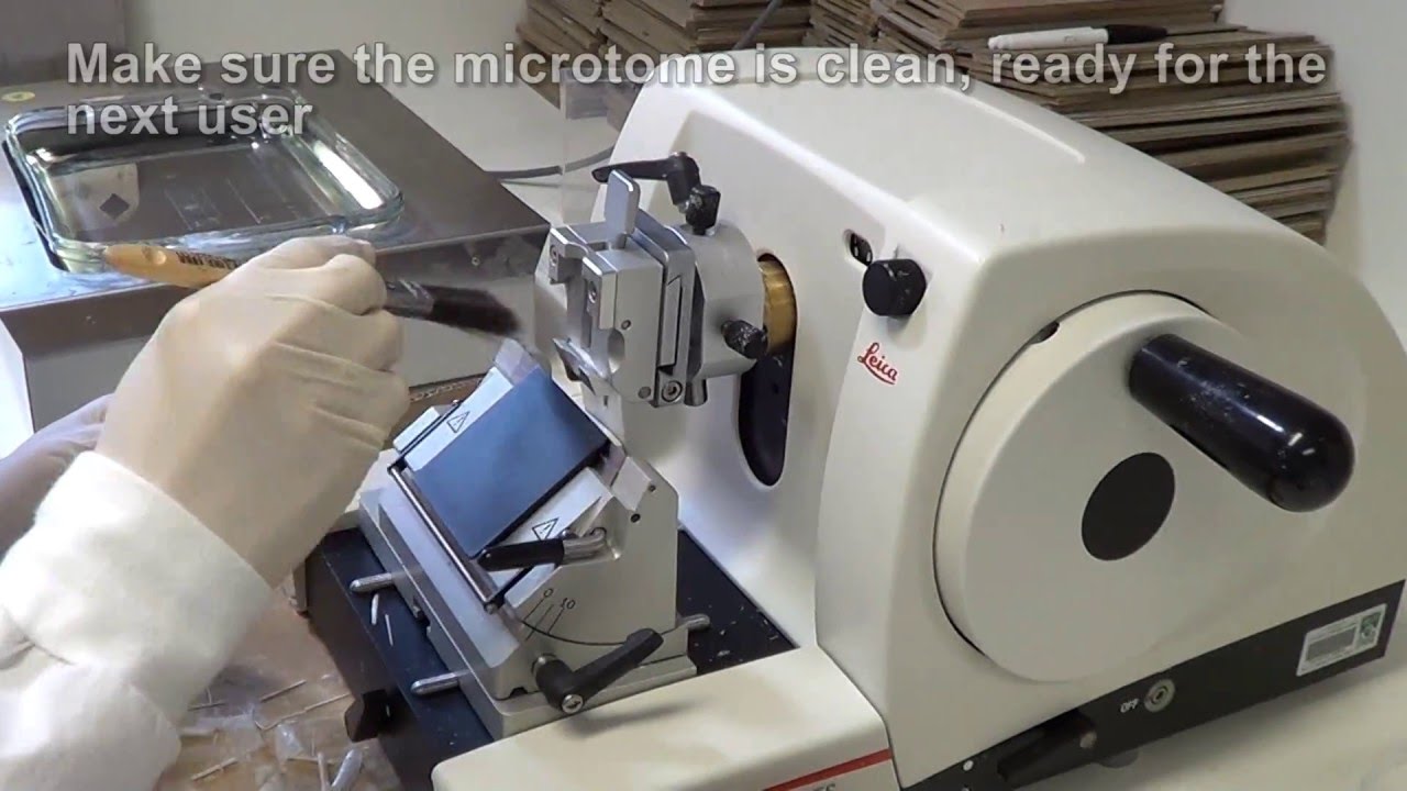 Microtome Safety