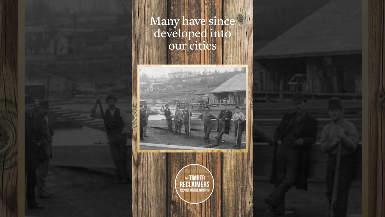 Timber has always been the backbone of NZs development