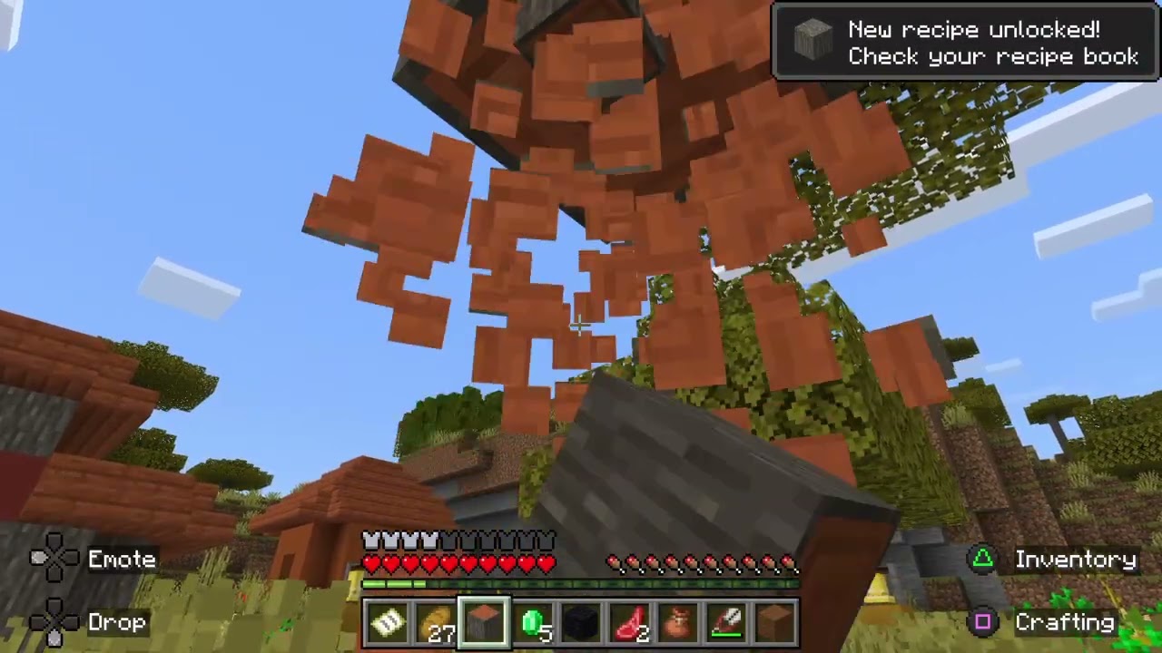 Minecraft how to build a 10 by 10 in survival