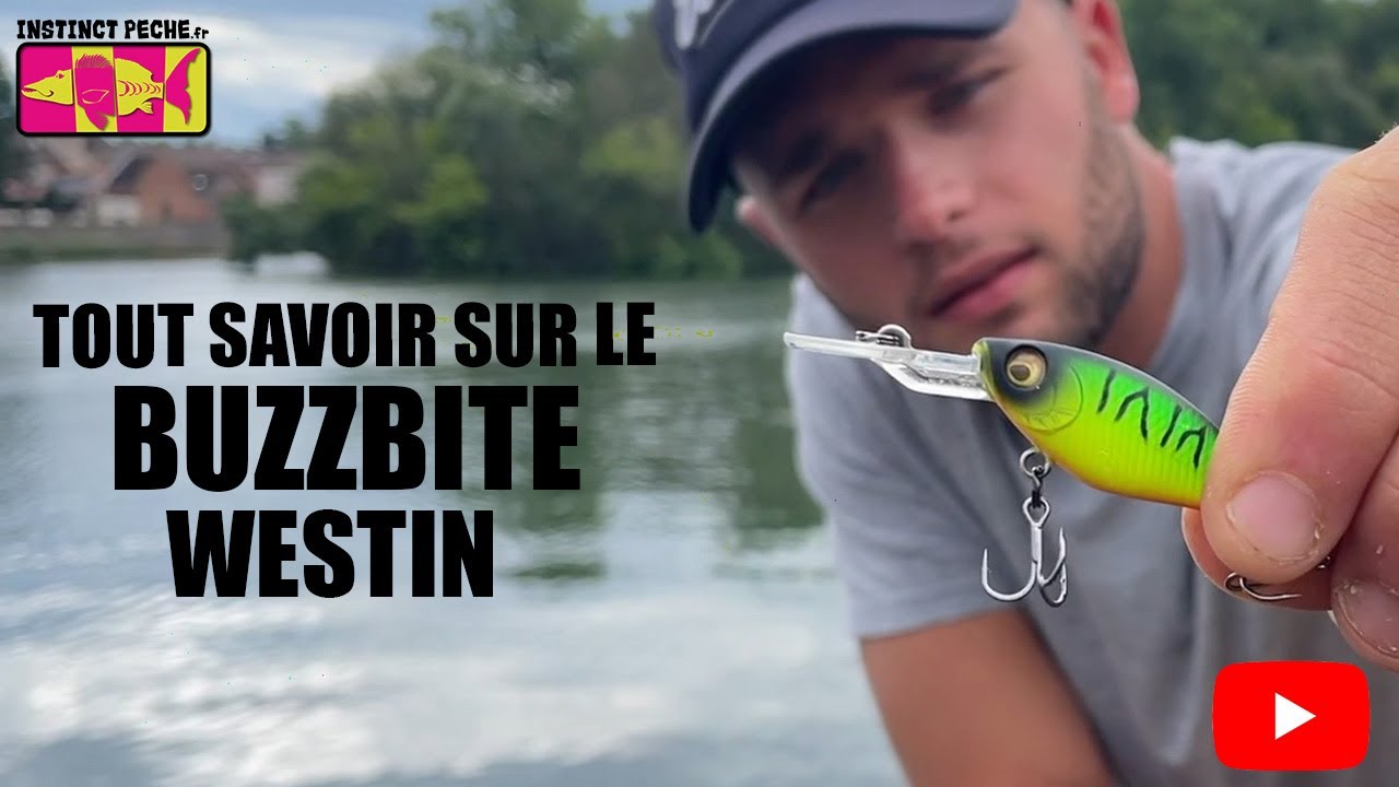 TOUT SAVOIR SUR LE BUZZBITE WESTIN