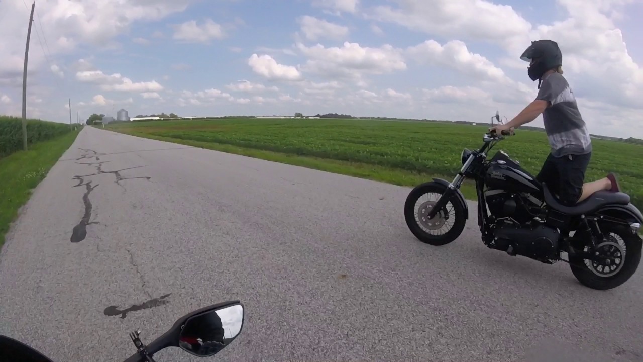 Harley Whoolies