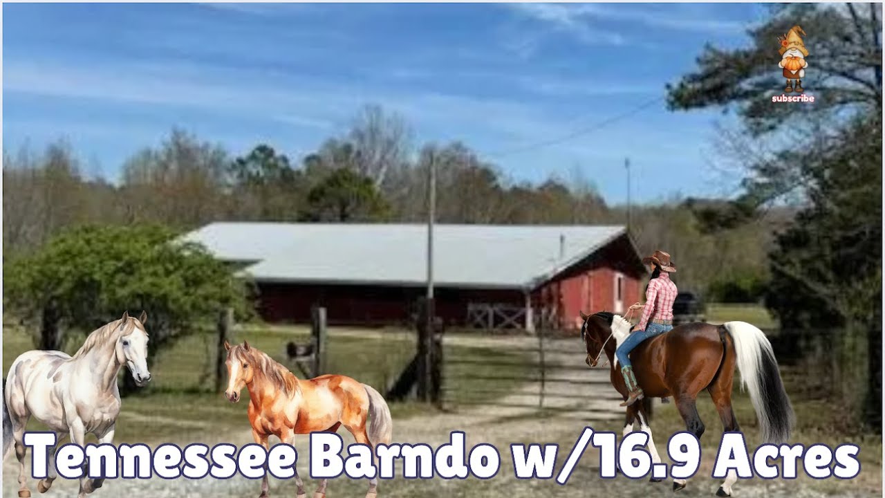 Free Range in Tennessee w/16 Acres $119k Barndo