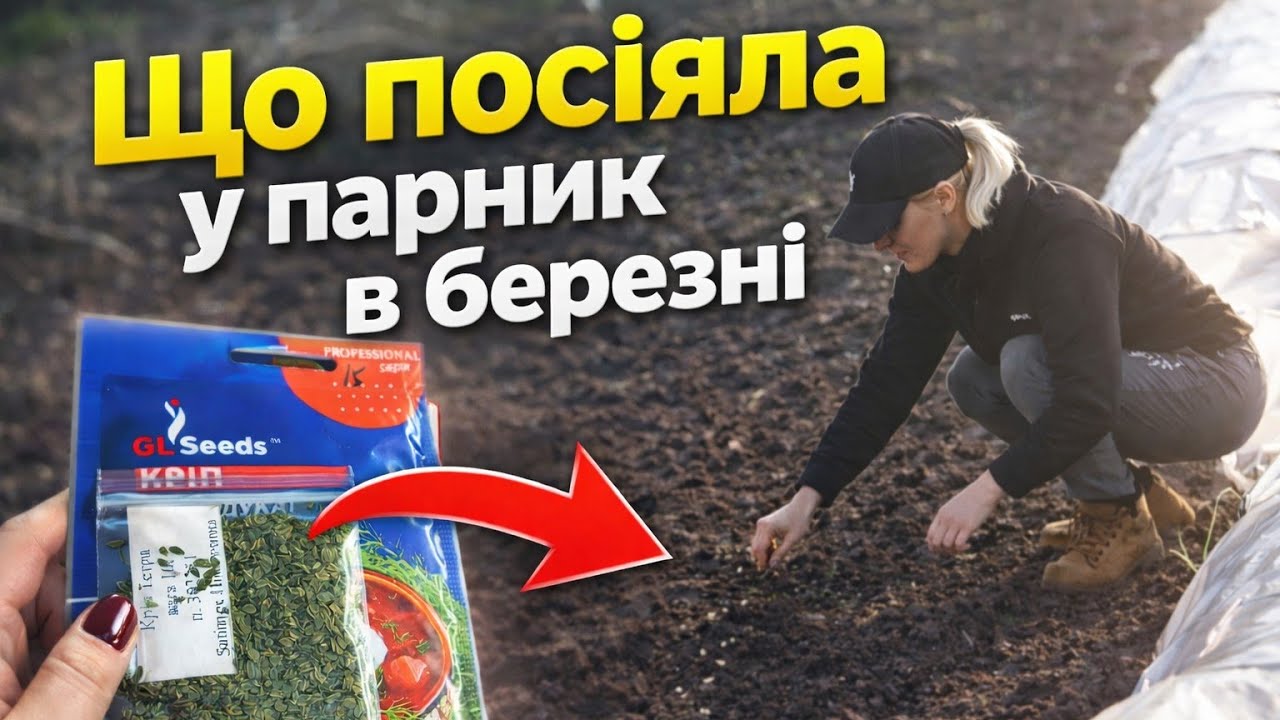 🌿Що сію ранньою весною?  Посів зелені у парник