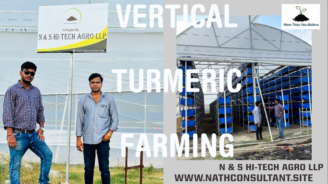 Vertical Turmeric Farming Full Project