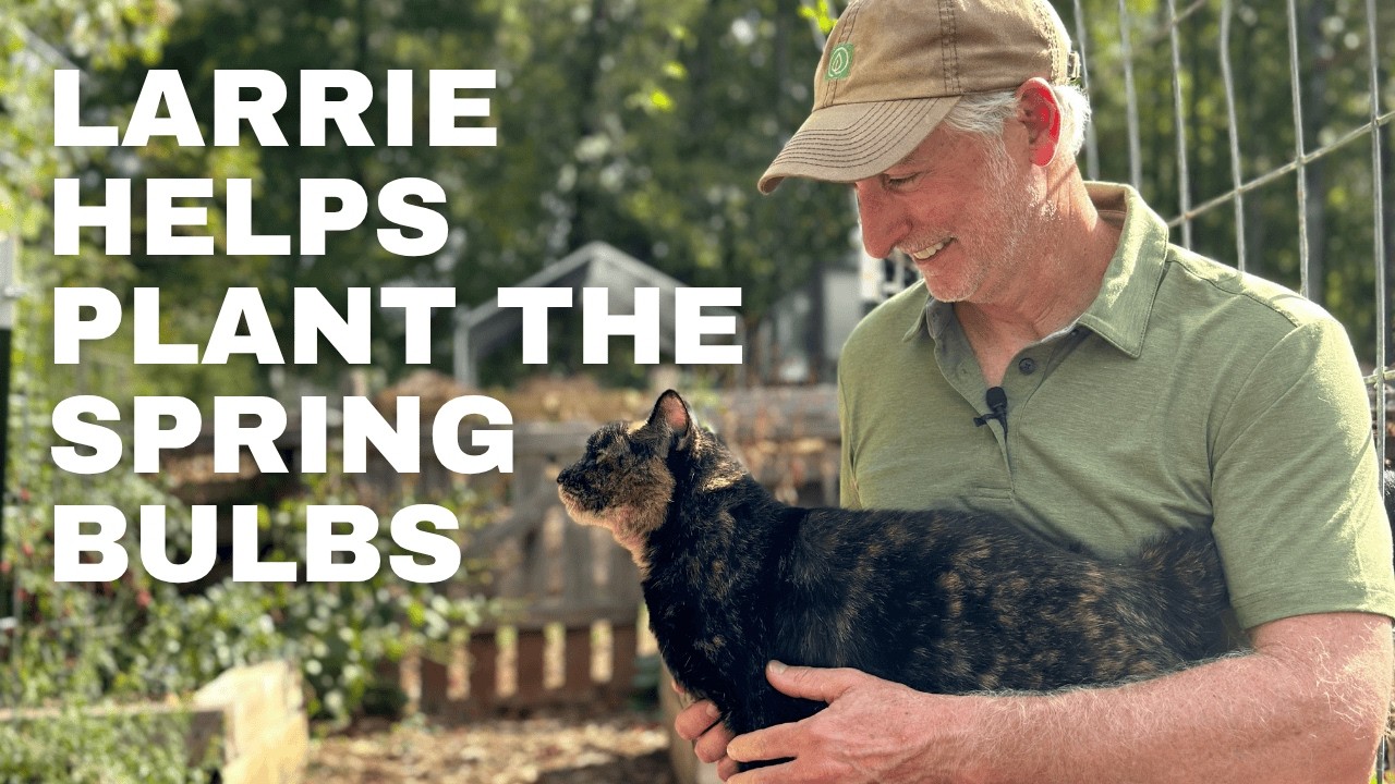 How to Plant Spring-Flowering Bulbs in Fall (with Larrie’s Help!)