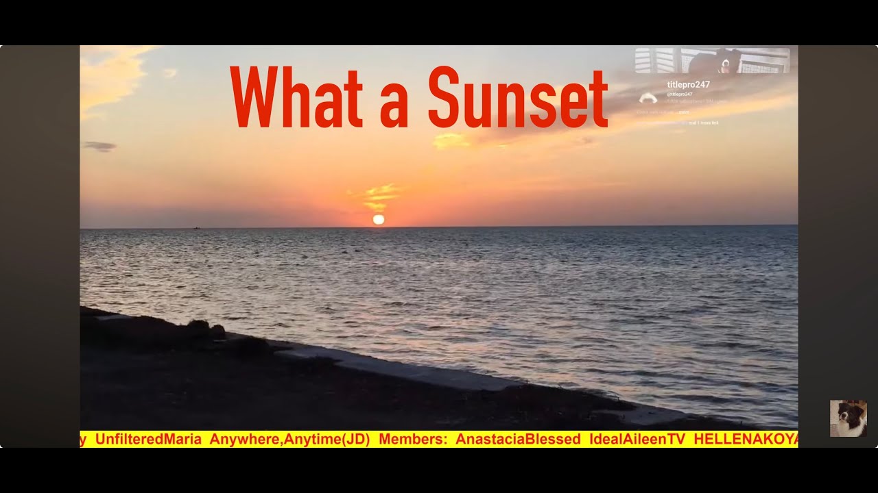 What a Sunset: 0003 with @titlepro247 and #tobydog