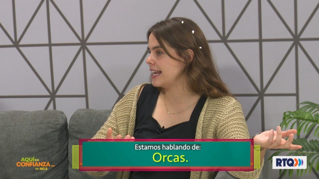 En confianza – Orcas
