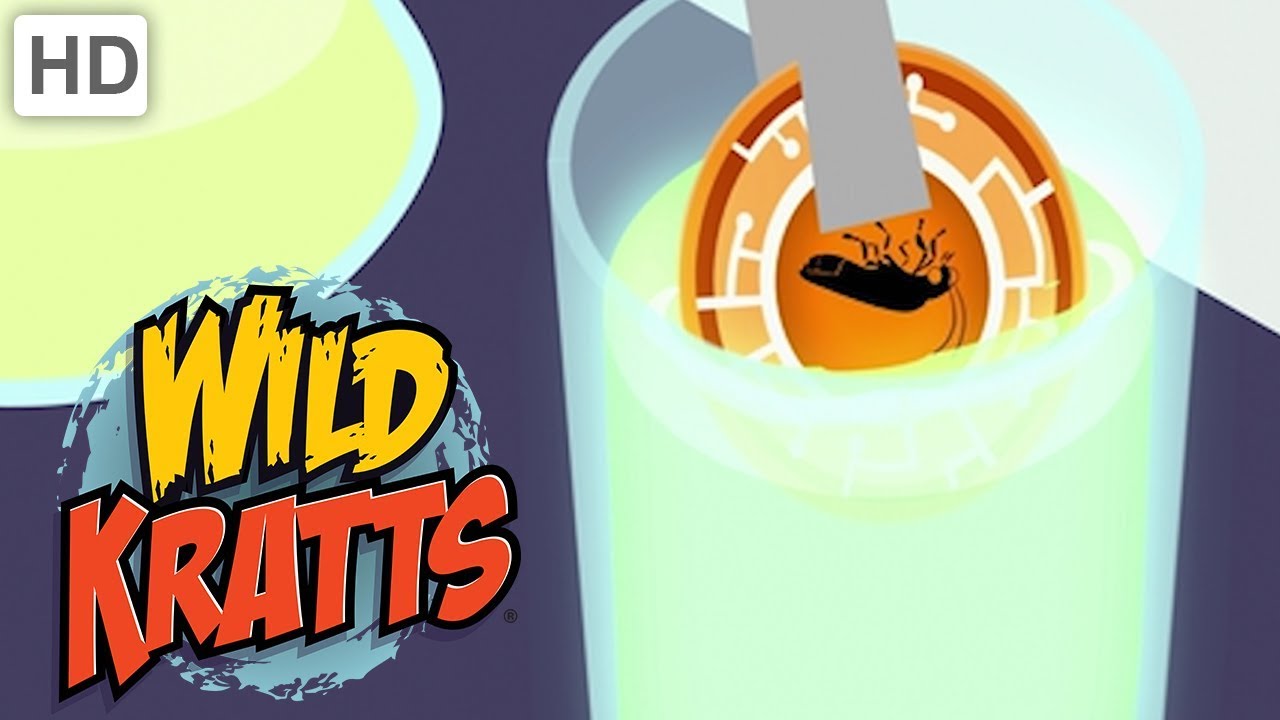 Wild Kratts 🌟 These Creatures Glow! | Kids Videos