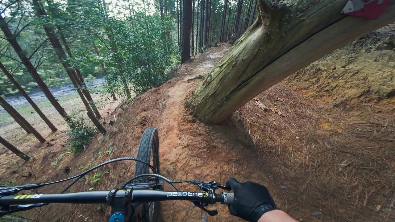 Specialized Stumpjumper vs 500m of Quality Knysna Trail!