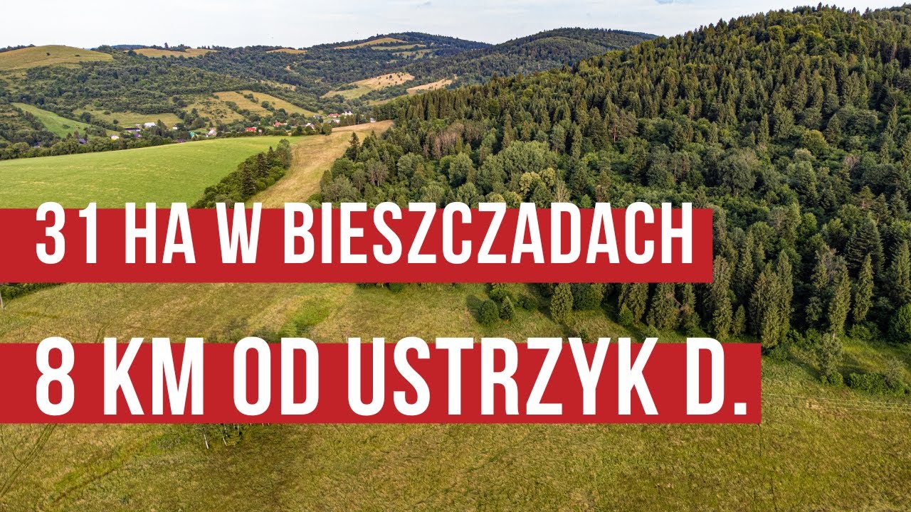 Rzuć wszystko i jedź w Bieszczady! 31 hektarów pod agroturystykę czeka - nieopodal Ustrzyk Dolnych