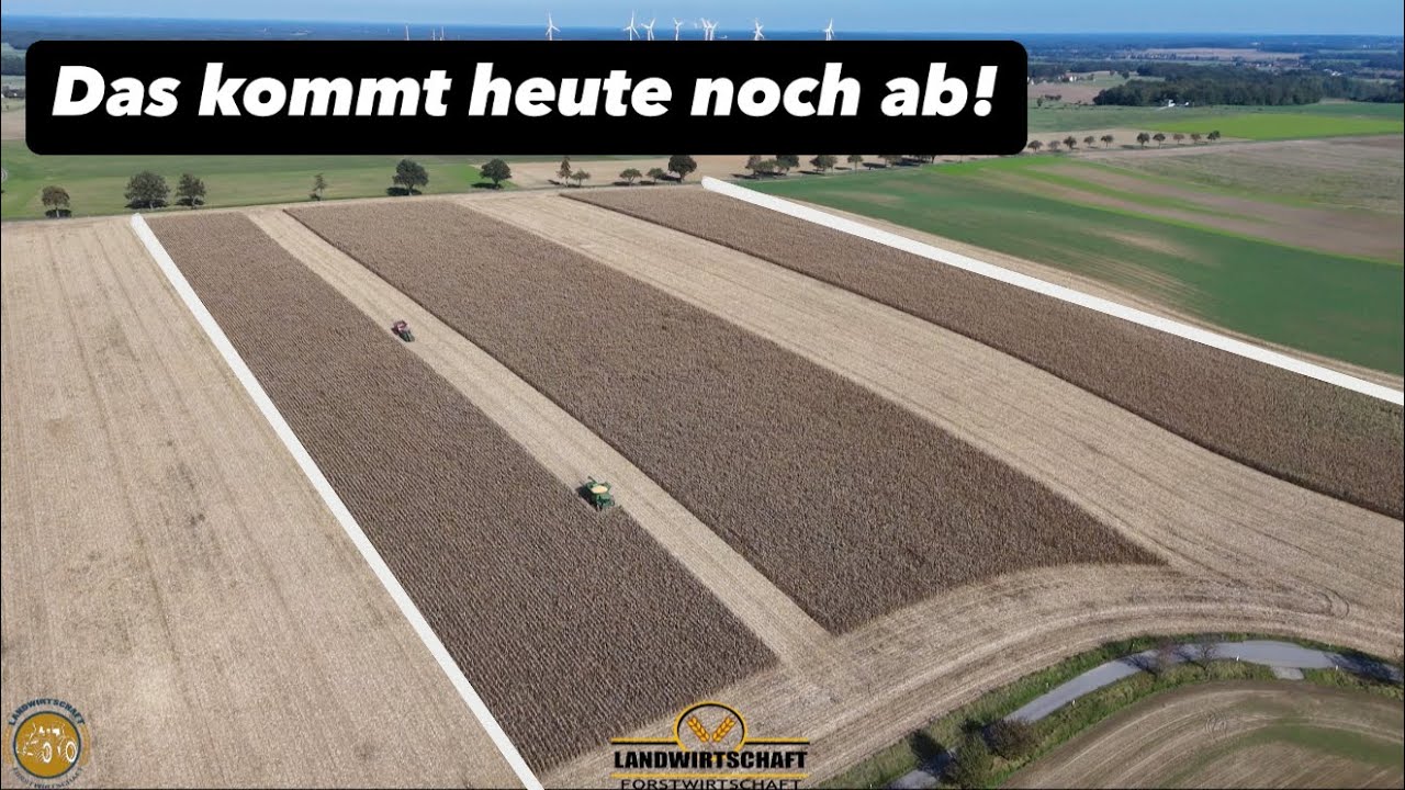 Das kommt heute noch ab! JOHN DEERE S780i in Sonder Lackierung Maisernte Mais Dreschen Körnermais