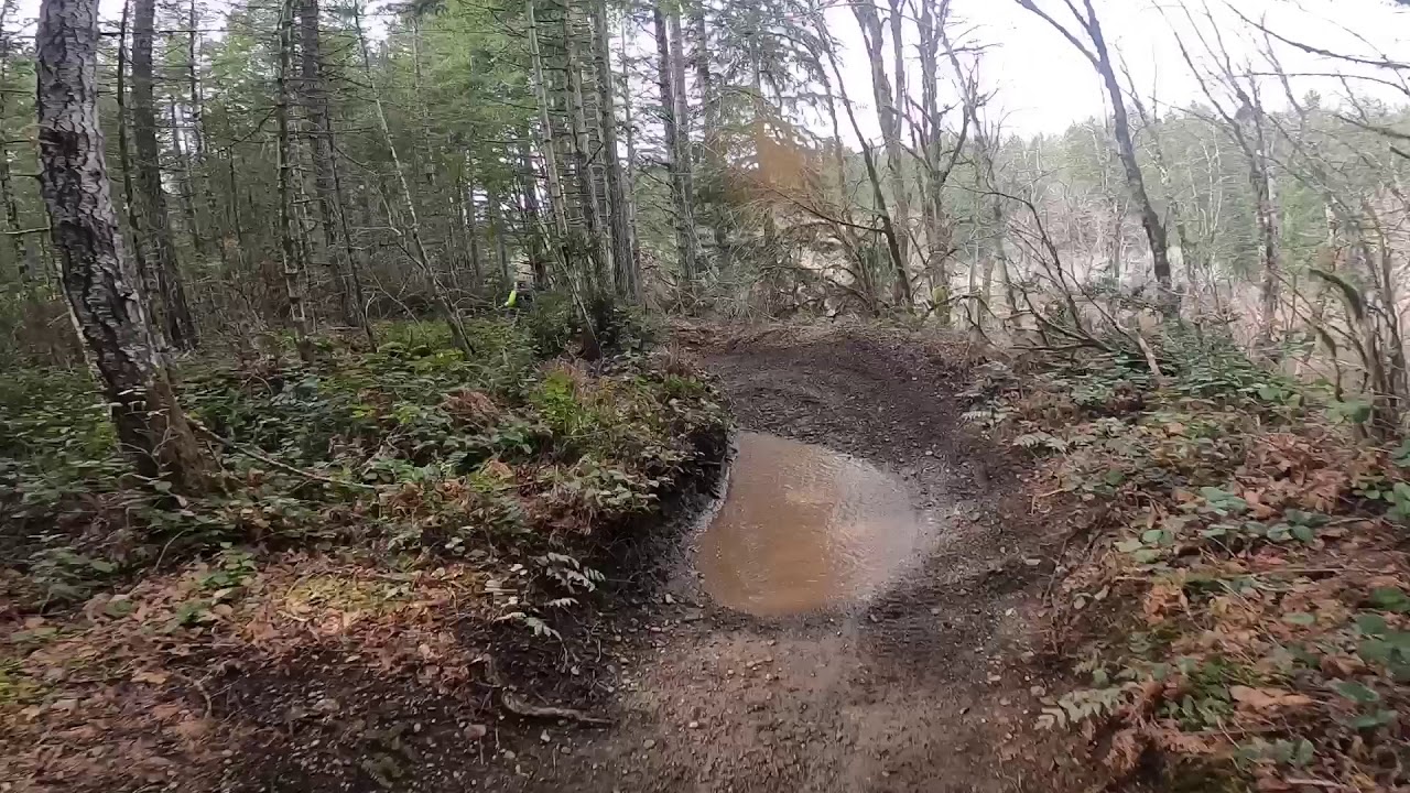 Elfendahl pass staging area trails.  Tahuya Orv Park