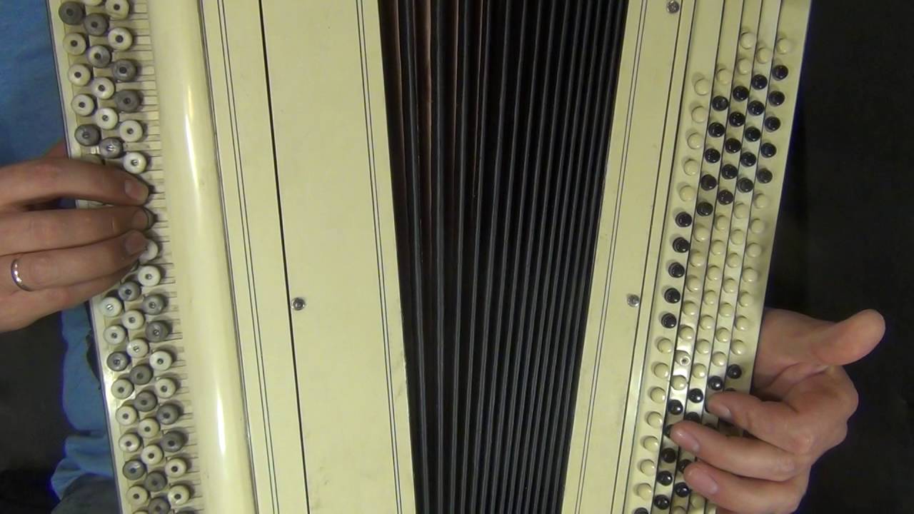 Калина красная, калина горькая (Баян крупным планом)