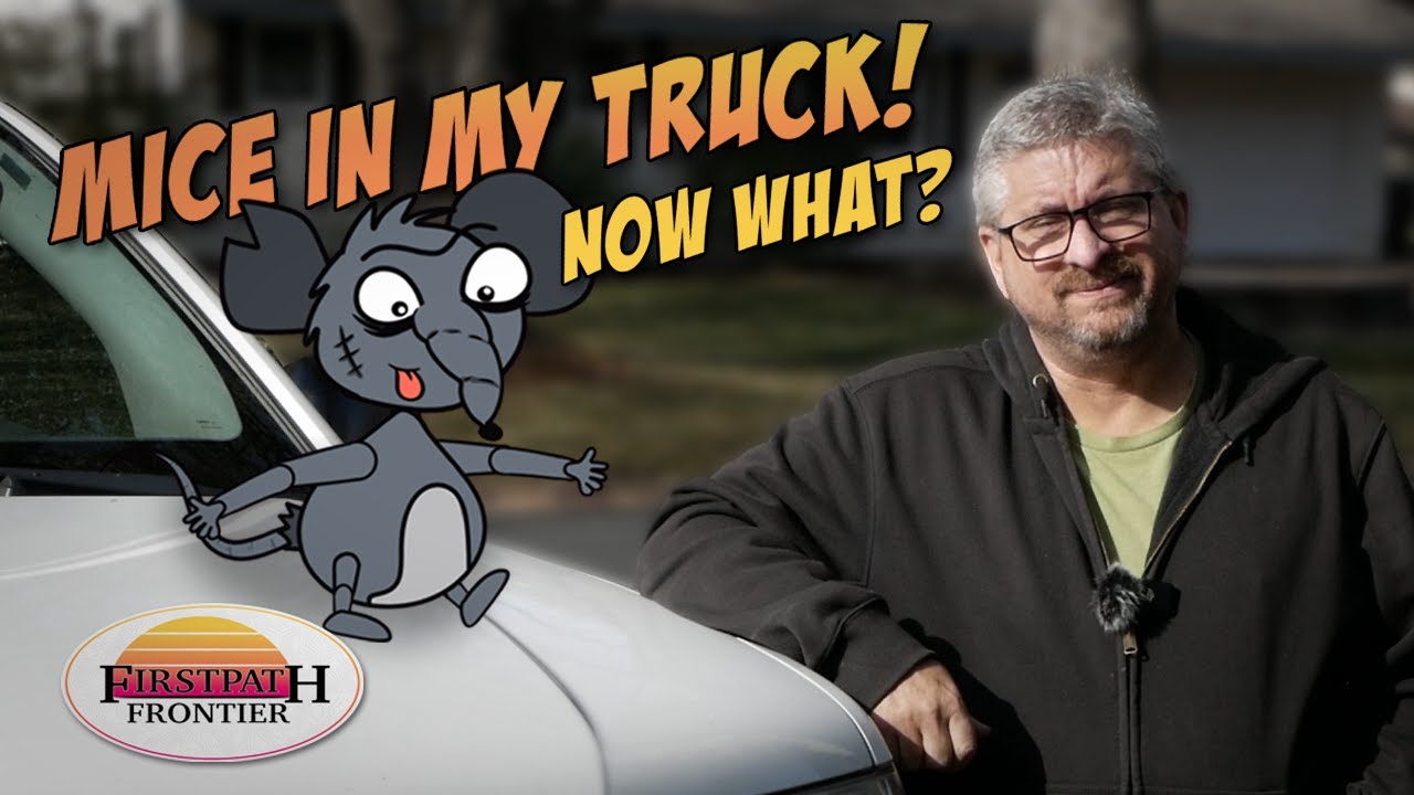 Tips and products to keep mice out of your stored vehicles and RVs.