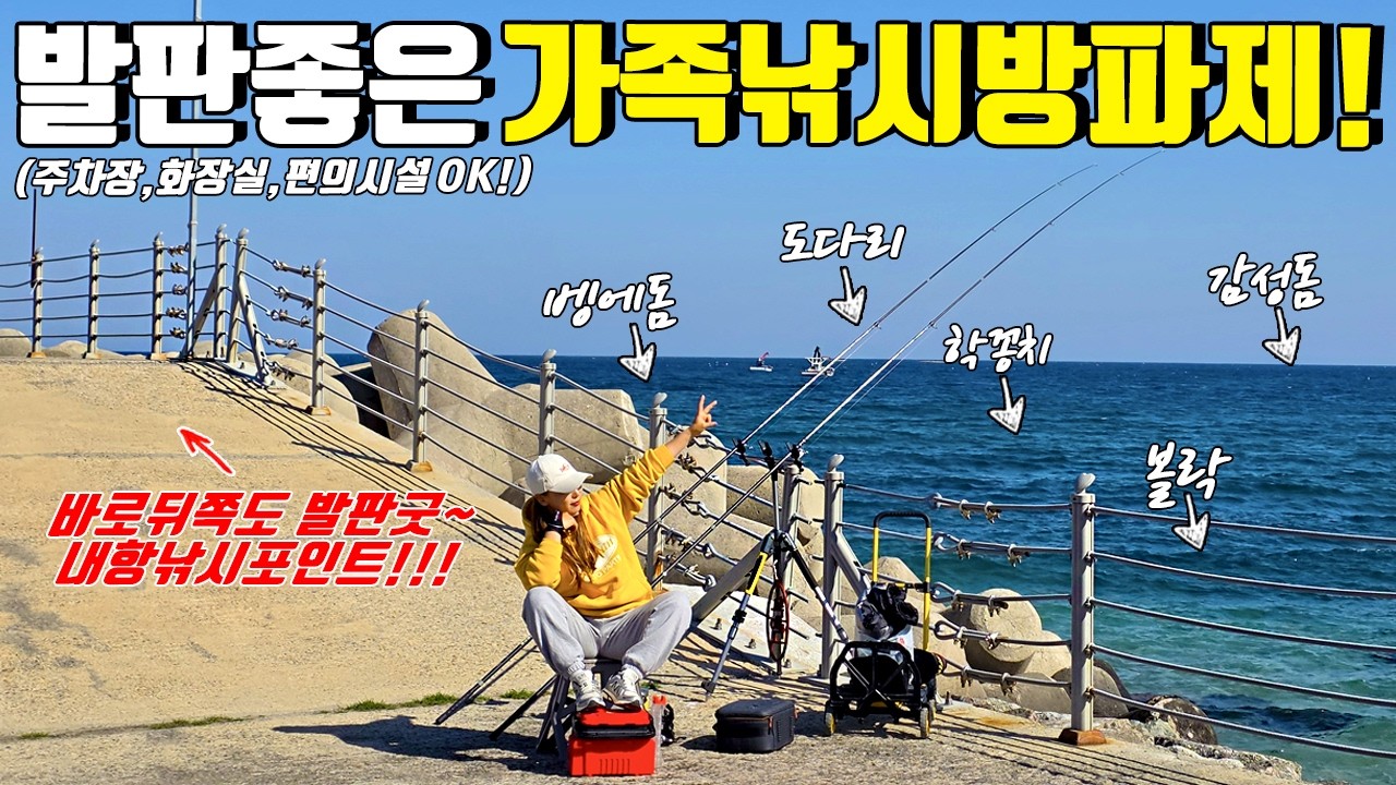 낚시하기 좋은 방파제포인트! 주차하고 바로던지는 명당자리! 동해바다 가족낚시 추천장소!