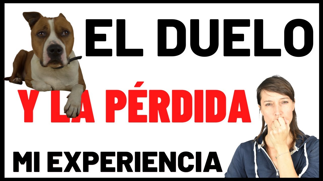 🖤Cómo SUPERAR y AFRONTAR la MUERTE de un PERRO o MASCOTA. Mis CONSEJOS para Ayudaros.