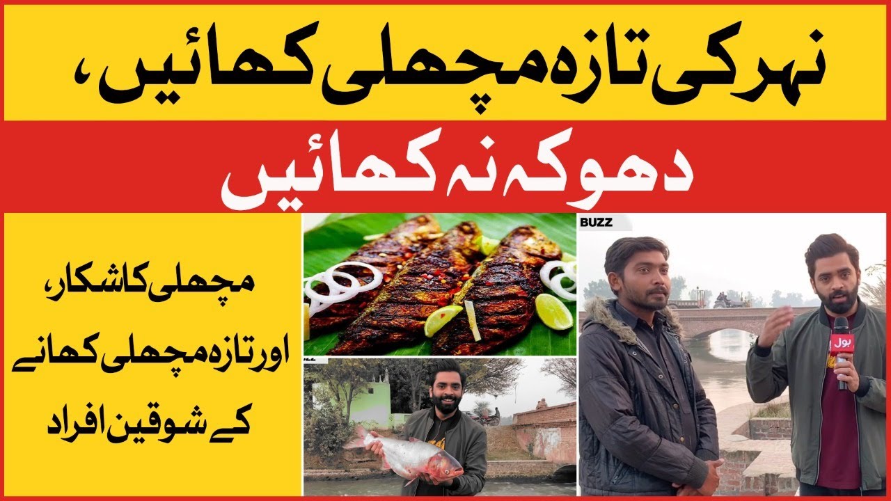Hafizabad Canal Ki Taza Machli | Best Fried Fish | Street Food Punjab | Food Reviews