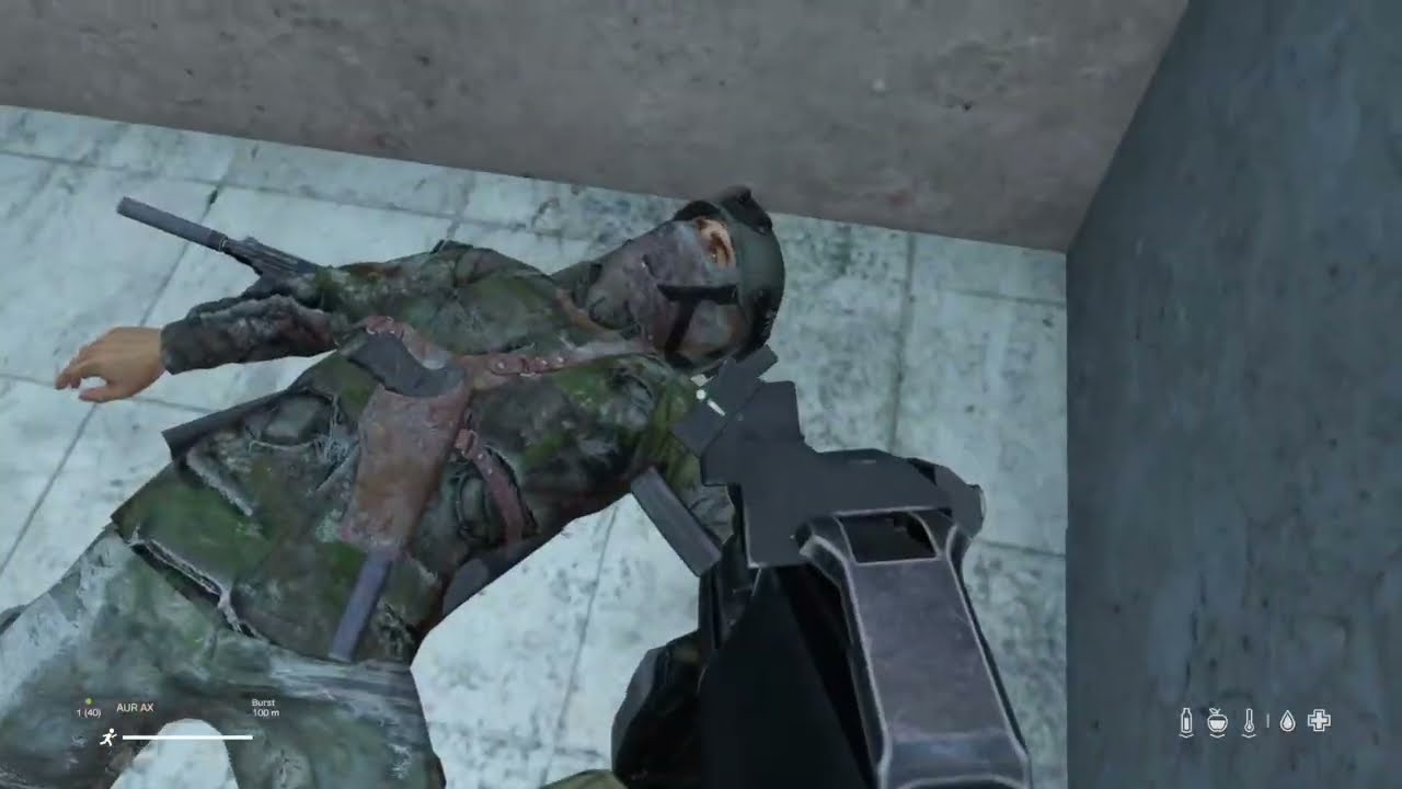 DayZ pvp:  Soloing the Topolin PD