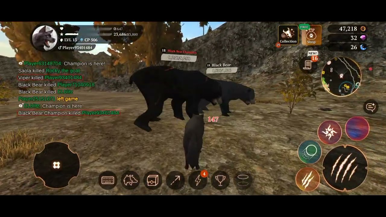 Black Bear  VS  Timber Wolf : Northern  Nemesis