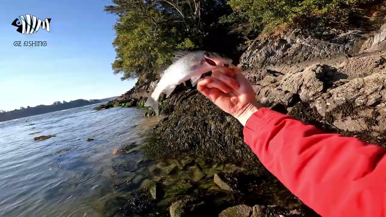 Light fishing - ¿Cómo se pueden pescar las lubinas? /// How can i fish the seabass?