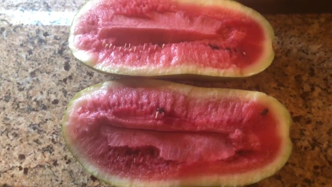 Charleston Grey Watermelon, Colorful & Aromatic