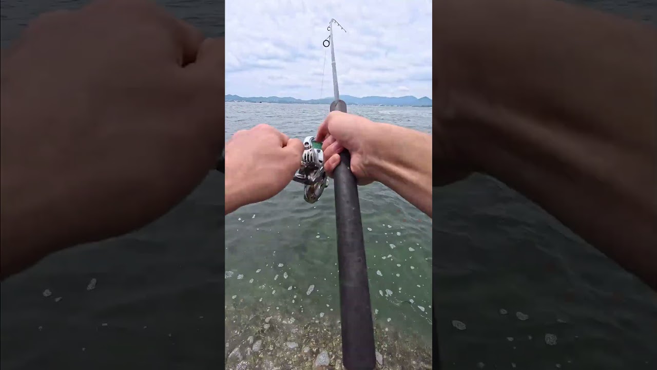 Kanama Live Shrimp Hooks - Catch fish faster with lively, healthy shrimp.