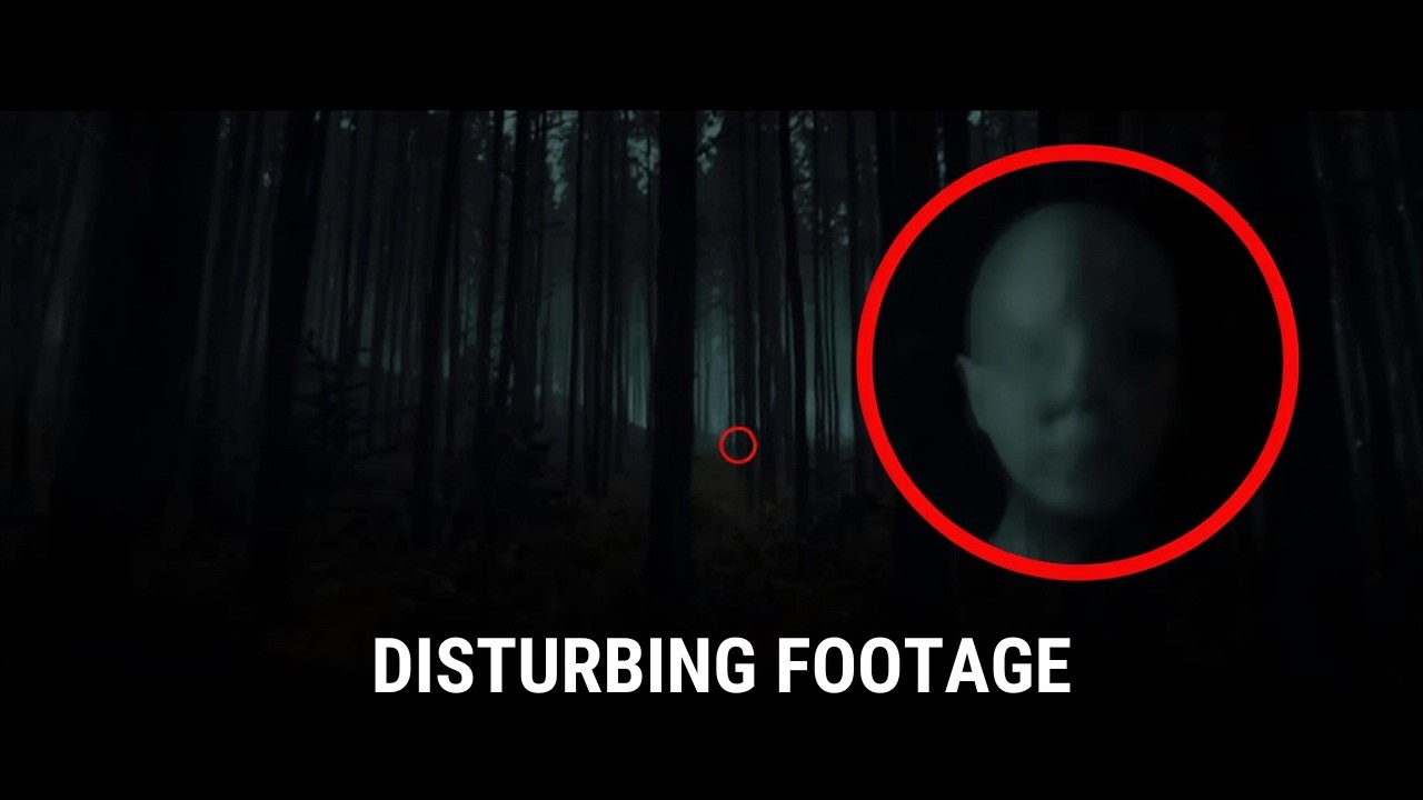 true camping horror stories real encounters in the woods that still haunt them