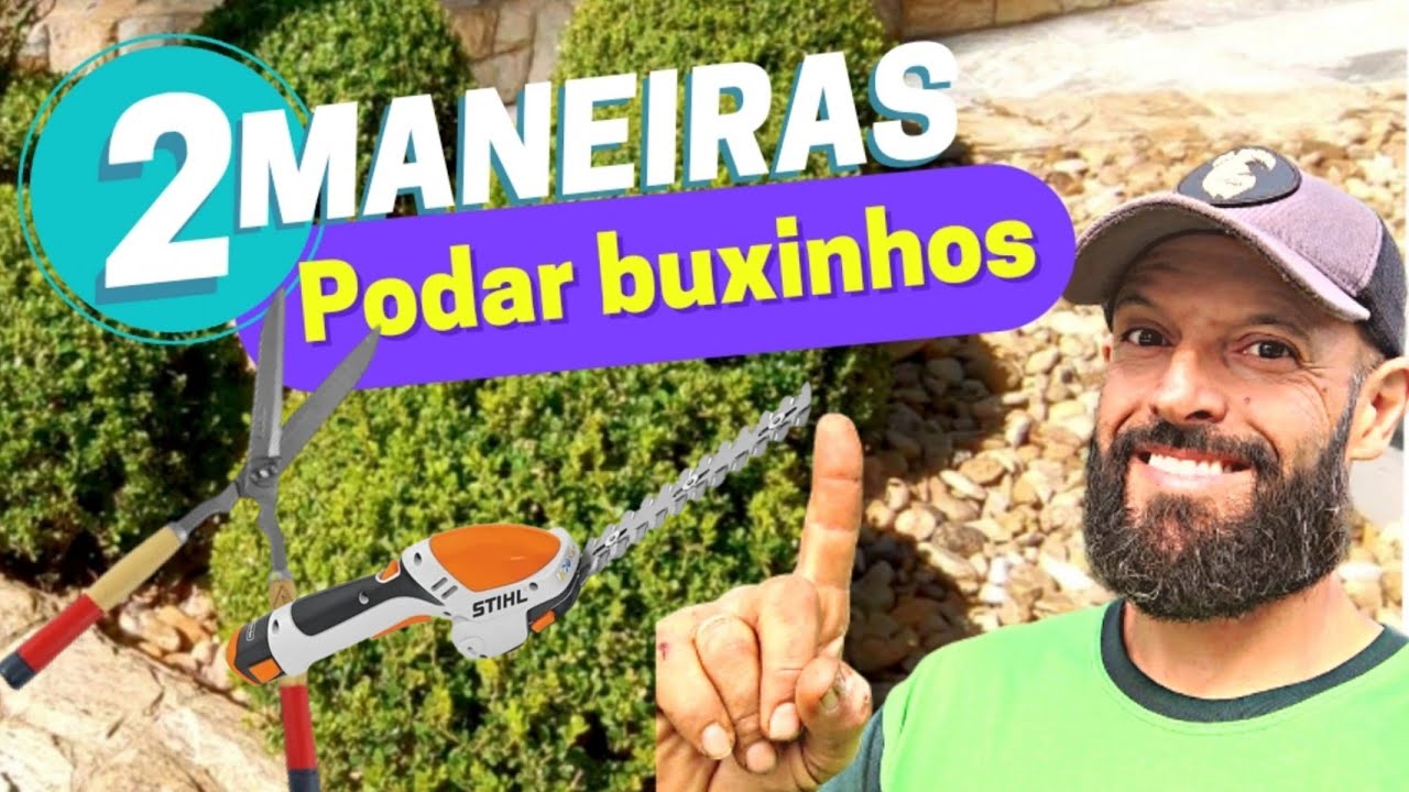 COMO PODAR BUXINHOS  USANDO 2 FERRAMENTAS.