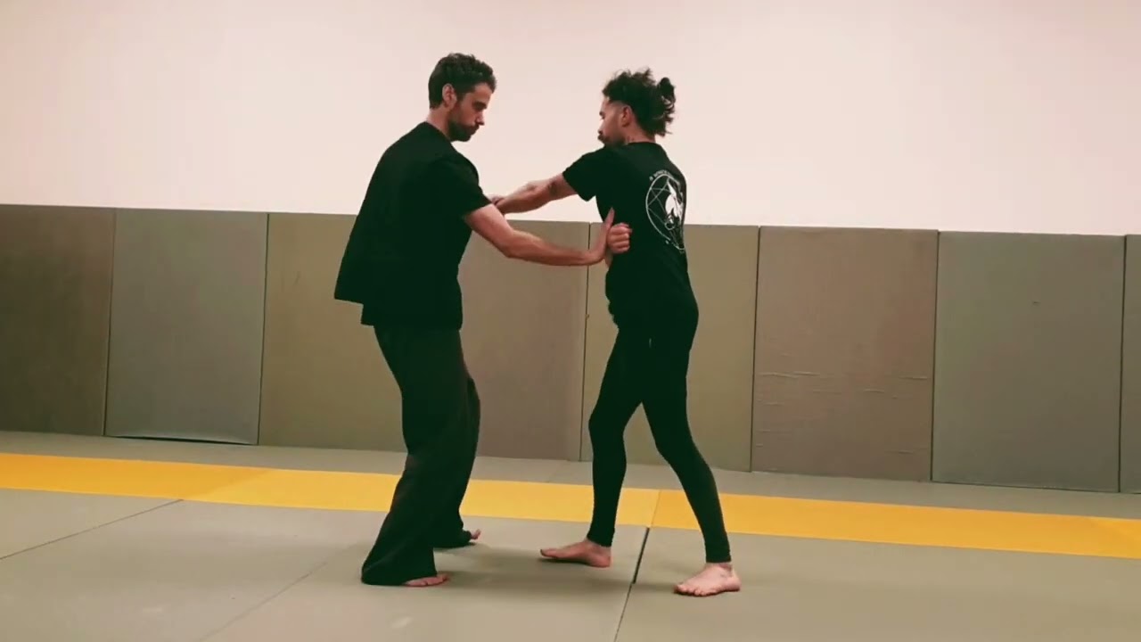 Wing Chun, Éléments de la Forme Mannequin et de la 2ème Forme, EWCT