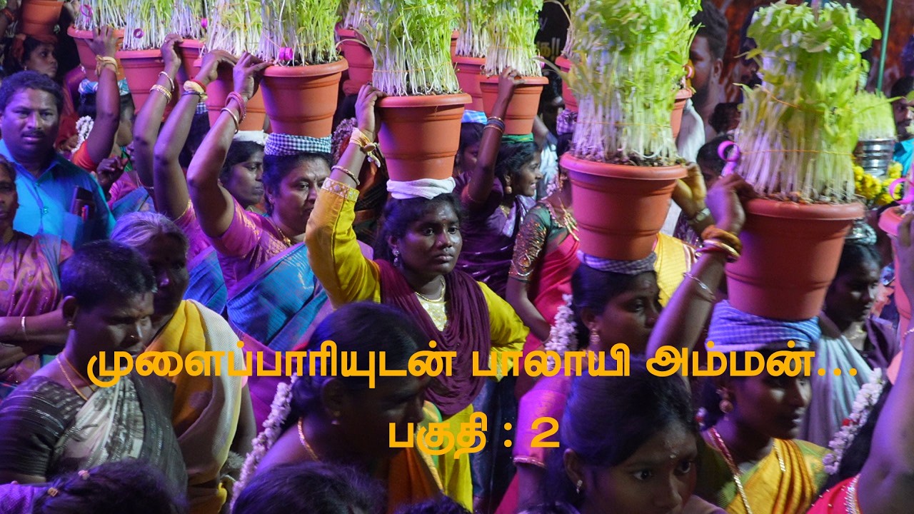 முளைப்பாரியுடன் பாலாயி அம்மன் பகுதி 2 | காந்தி நகர் புதுக்கோட்டை