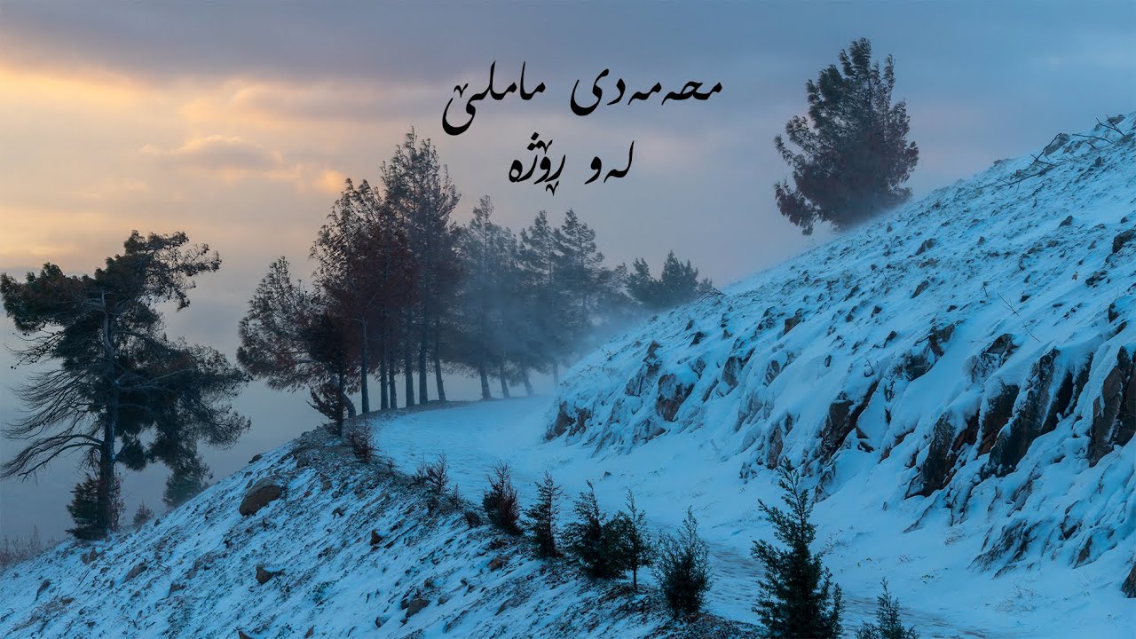 ماملێ، لەو ڕۆژە Mamle, Lew Roje