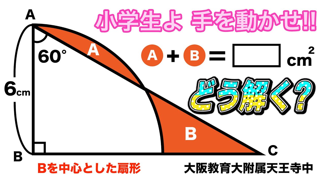 【面白い算数の問題】中学入試　面積　算数　大阪教育大学附属天王寺中