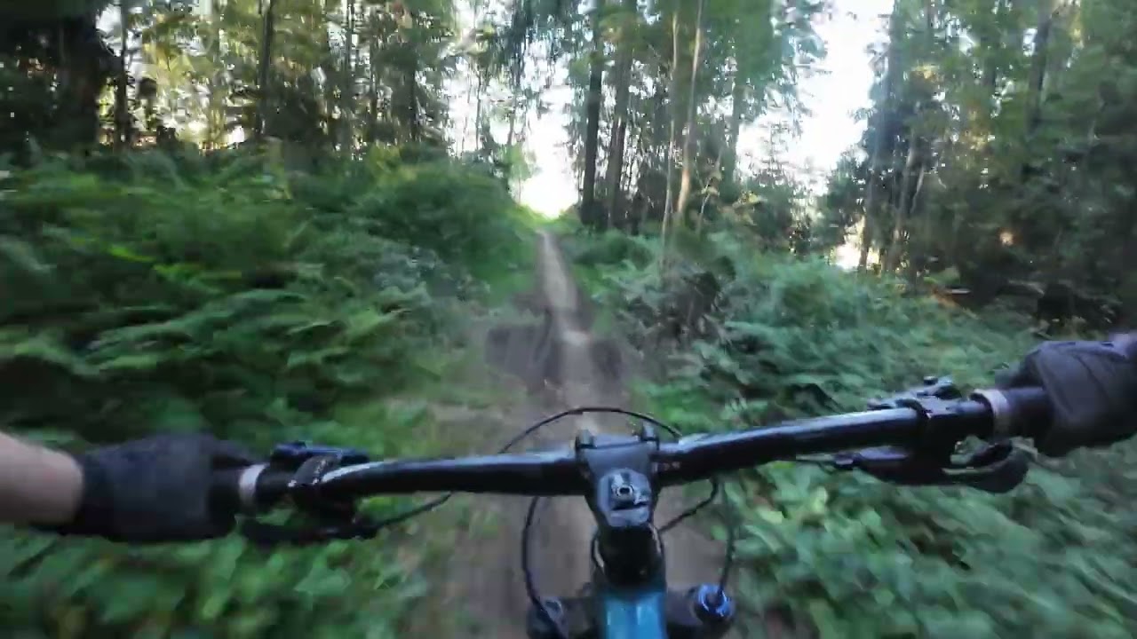 Łasica - Gravity Park Kotelnica Białczańska | Bike park Białka Tatrzańska