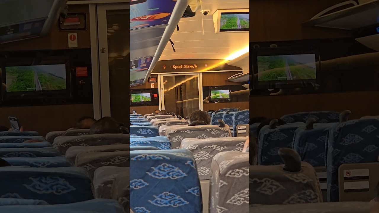 Moving at 350 km/h: The Future of High-Speed Travel! #thevetpreneurvoice
