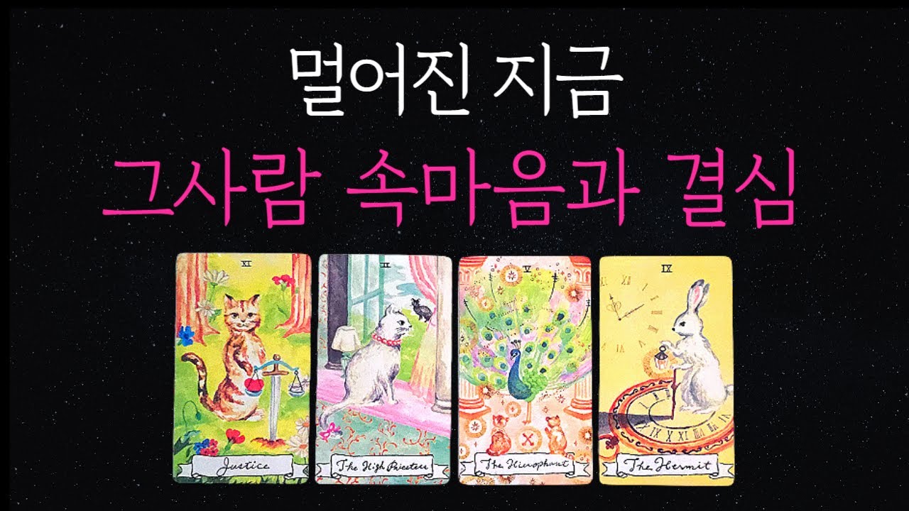 [타로💘]🔮멀어진 지금 그사람 속마음과 결심❣️🌷속마음,재회,썸🔥연락운🔥연락시기🔥재회