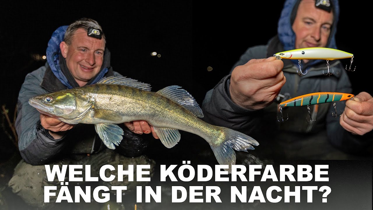 Nachts auf Zander: So triffst du den richtigen Farbton