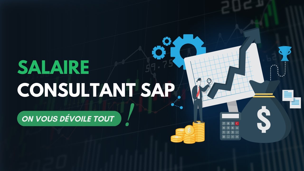 Salaire Consultant SAP en 2024 : Les Chiffres Qui Bouleversent Tout !