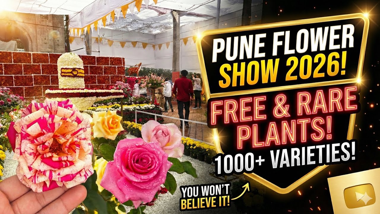 PUNE FLOWER SHOW 2026! 🌹 Rare Plants & Free Entry? (Full Tour) #pune 